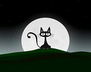 pic for Cat In Moonlight 